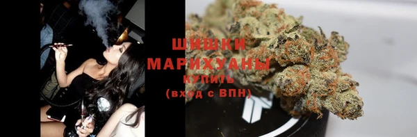 мяу мяу мука Инсар
