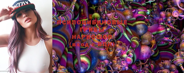 молекула духа Зеленодольск