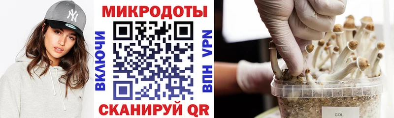 Купить закладки  Пролетарск  Псилоцибиновые грибы ЛСД 